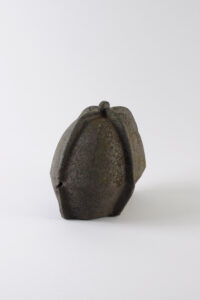 Vegetalis CCIII, Raku, 21 x 17,5 x 24,5 cm, 2022