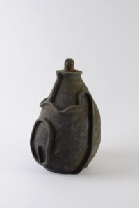 Vegetalis CCIV, Raku, 30 x 21 x 19 cm, 2022